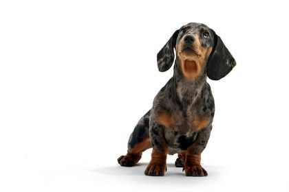 shutterstock_824912.jpg
