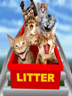 www.tvn.hu_745d59c5ce024b9ce7a3565055a2881c.gif